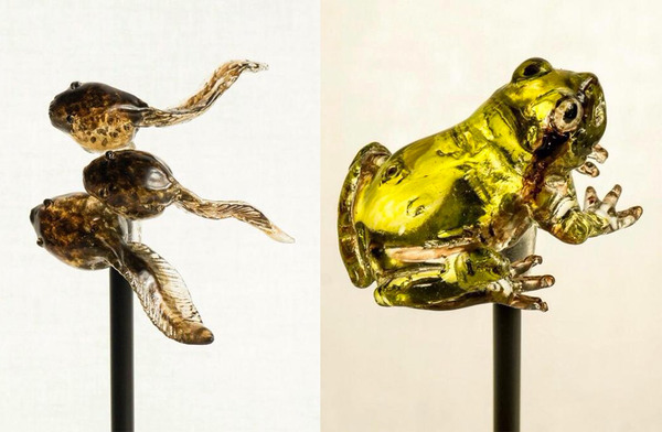 カエルとオタマジャクシの飴細工
