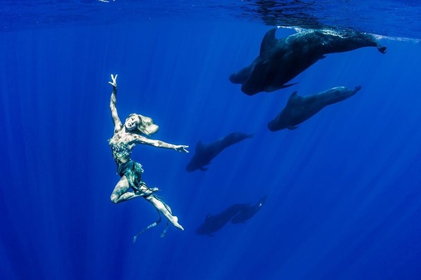 ザトウクジラとモデルのダイバーが一緒に海中を泳ぐ