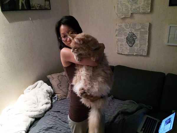 でかすぎる!大型のイエネコ長毛種メインクーン画像【猫】 (15)