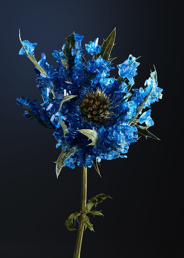 花と結晶 植物と鉱石を融合した芸術作品