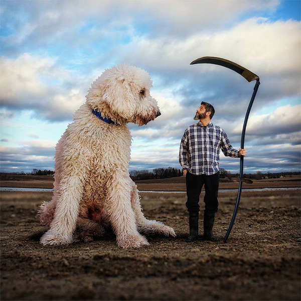 犬を大きくする！そんな夢をフォトショップの画像加工 (3)