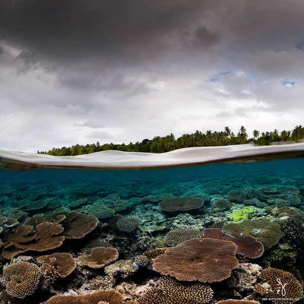 水中と水上を隔てた幻想的な写真 海の中の異世界感