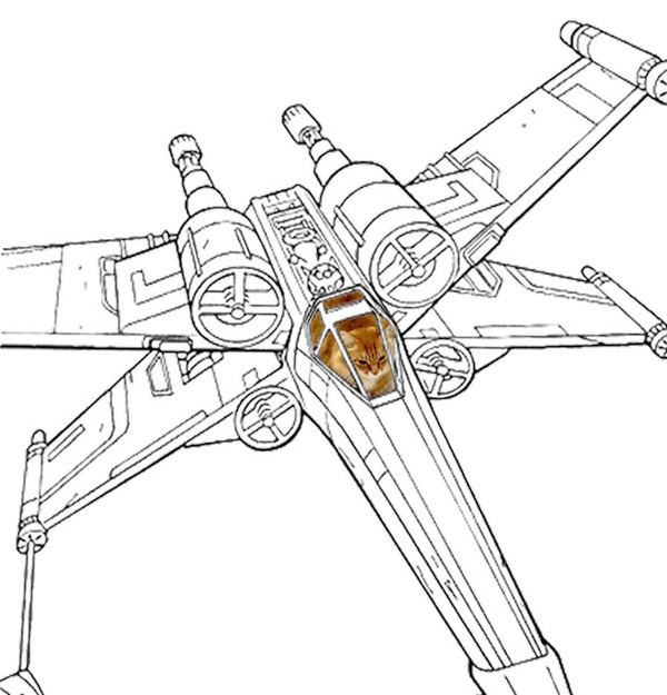 才能の無駄遣い？香箱座りの猫の画像にみんなで落書き！ (10)