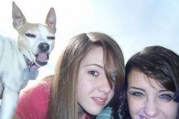 動物達のノリノリな自画撮りセルフィ 可愛いセルカ画像