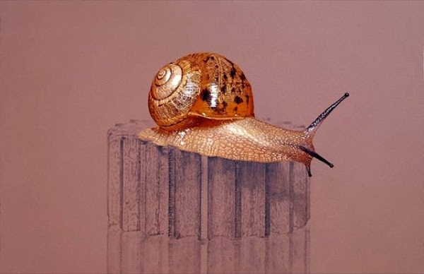 写真にしか見えない超写実的な絵画アート 4