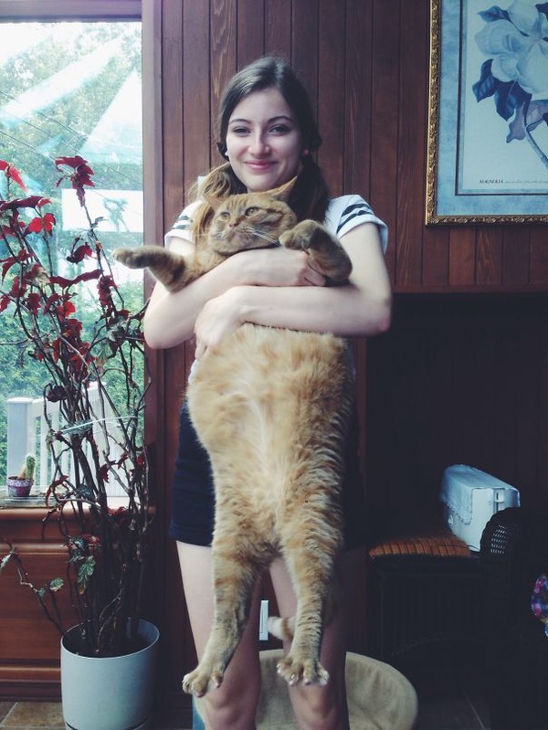 とても大きい猫の画像 35