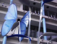 本物の蝶みたい！近未来的な青い蝶のドローン｢eMotionButterflies｣
