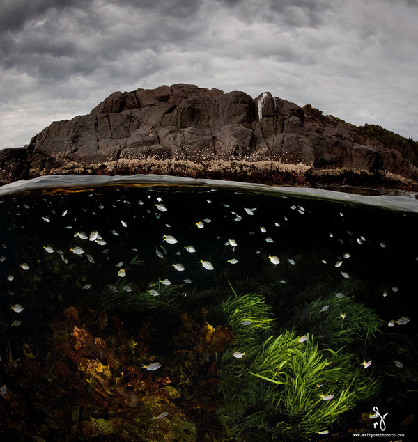 水中と水上を隔てた幻想的な写真 海の中の異世界感