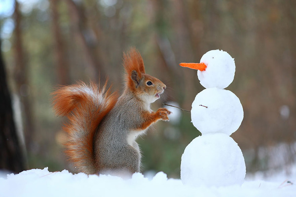 食べ物が入った雪だるまを発見したよ