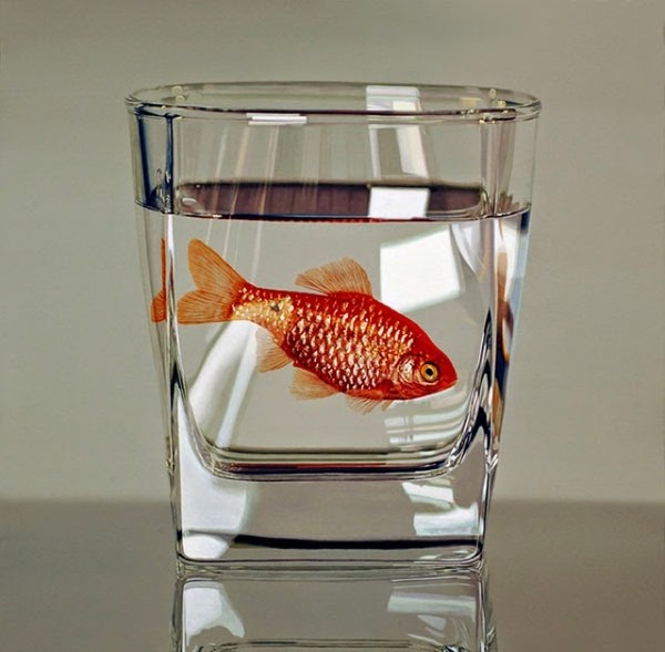 写真みたいに超リアルな金魚の絵画