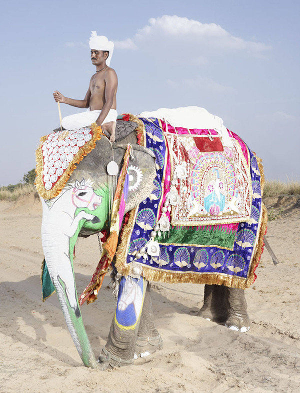 美しく着飾られたゾウの画像 インドの象祭りでメイクアップ