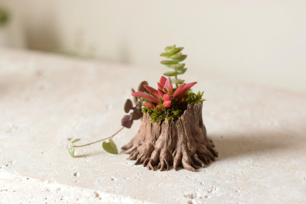 動物や植物な樹脂製アートプランター！『HARIMOGURA』 (9)