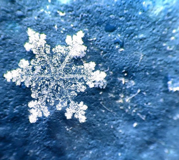 肉眼でも見れる！綺麗な雪の結晶のマクロ写真 (8)