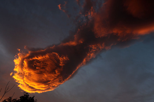 神 の 手 雲 元 ネタ 神 の 手 雲 元 ネタ