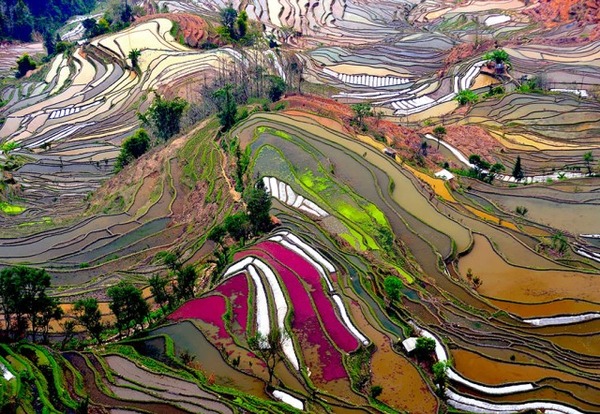 Thierry Bornier