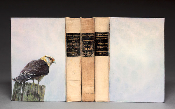 古本を使って制作された野鳥の肖像画と生息地の彫刻 12