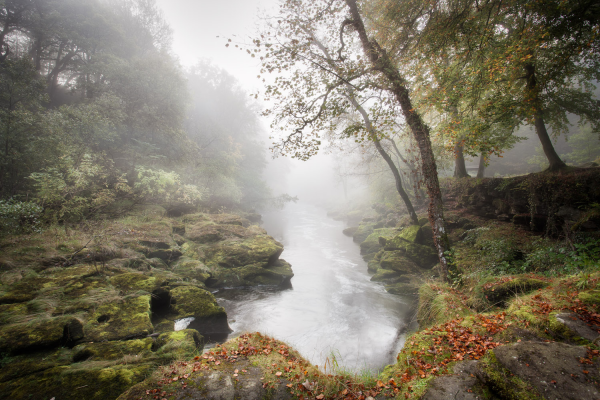 AT THE WATER'S EDGE