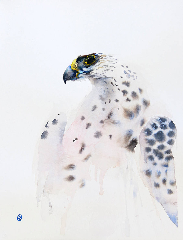 キラキラ綺麗 フクロウやワシなどの鳥類を描いたカラフルな水彩画 キラキラ綺麗 フクロウやワシなどの鳥類を描いたカラフルな水彩画