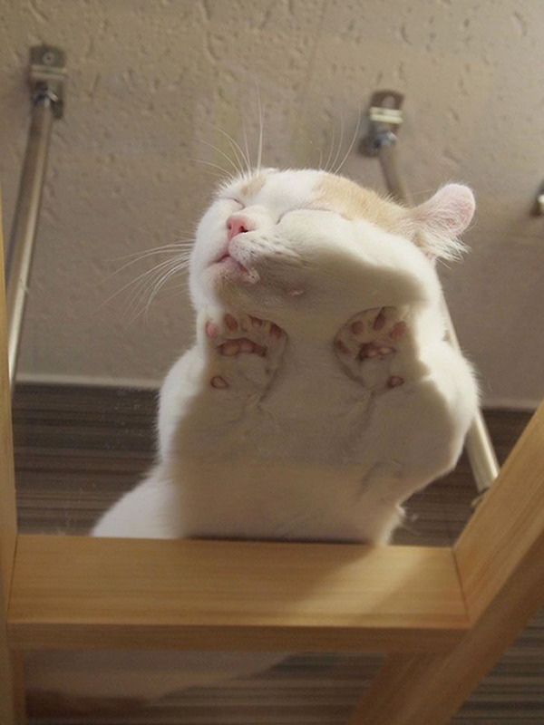 ガラステーブルで丸見え