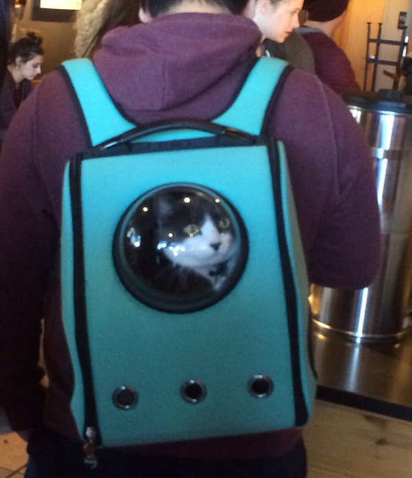 一緒に宇宙行っちゃう？宇宙飛行士みたいな猫用バックパック！ (2)