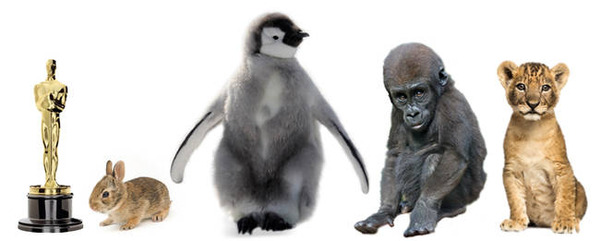 動物の赤ちゃんの大きさを比較 オスカー像と比べてみた