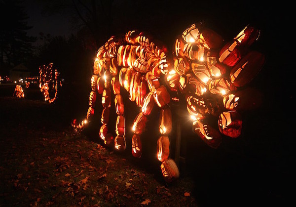 The Great Jack O’Lantern Blaze