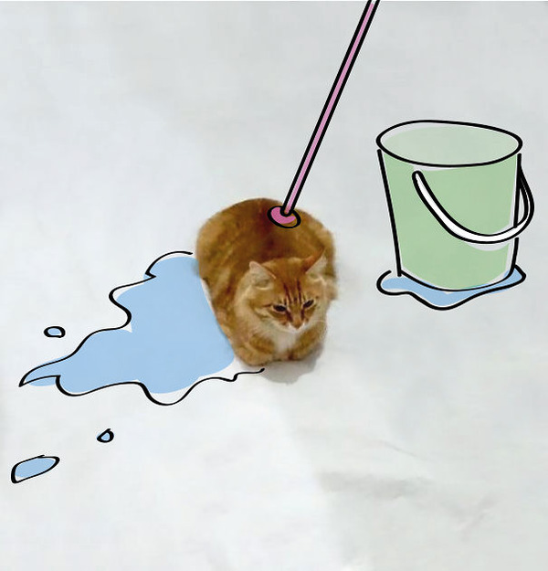 才能の無駄遣い 香箱座りの猫の画像にみんなで落書き 才能の無駄遣い 香箱座りの猫の画像にみんなで落書き