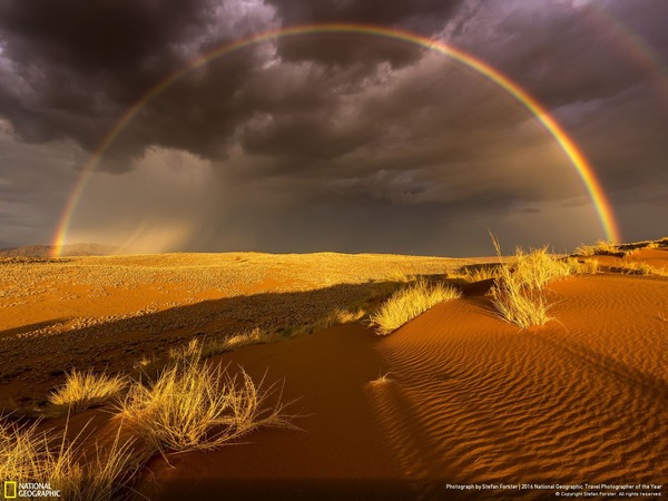 Rain in the Desert