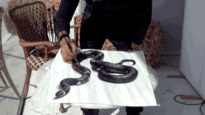 立体的すぎる!紙上に描かれた3Dドローイング【錯視】 (2)