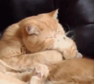 激しいキス!