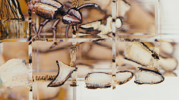 隠された絵が浮かび上がる！アナモルフィックな立方体 (3)