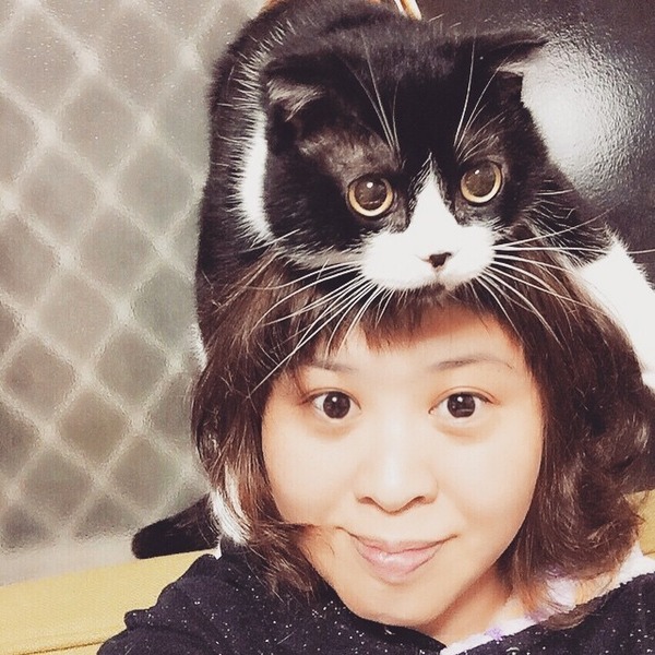 猫帽子 16