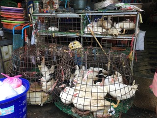 タイ旅行記201807_16