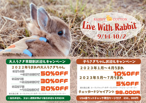 Live-with-rabbit2023