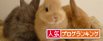 br_decobanner_20110523183054