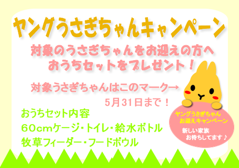 ヤングうさぎキャンペーン