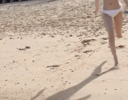 livejupiter_1733383878_1907