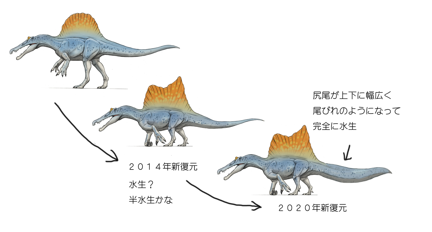 朗報 スピノサウルスさん 水棲確定 吹き出し型2chまとめ Line2ch 朗報 スピノサウルスさん 水棲確定 吹き出し型2chまとめ Line2ch