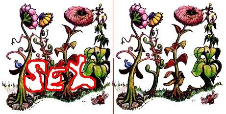 閲覧注意 これサブリミナル画像だってよｗｗｗｗｗｗｗｗｗ ラビット速報