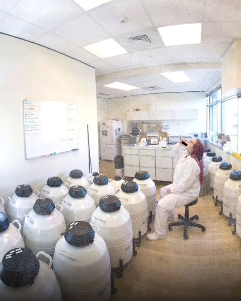 【画像】精子バンクの女性職員、保管されてた精子を飲んで逮捕される・・・