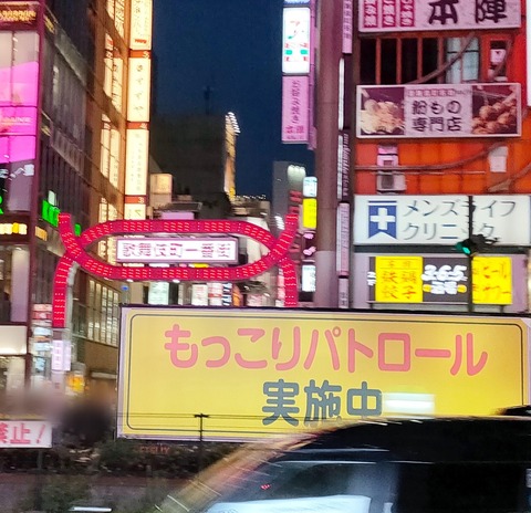 【画像】 歌舞伎町、くっそ下品な街になってしまう ｗｗｗｗｗｗｗｗｗｗｗｗ