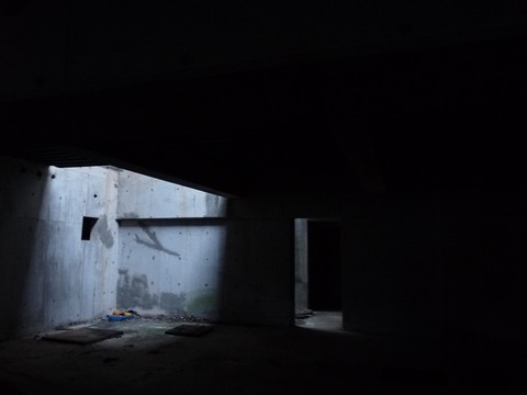 48_1