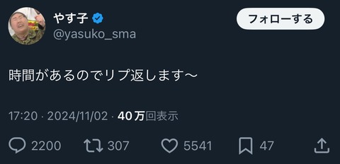 【速報】やす子さん、リプ返しを始めるも雑ｗｗｗｗｗｗｗｗｗｗｗｗｗｗｗ