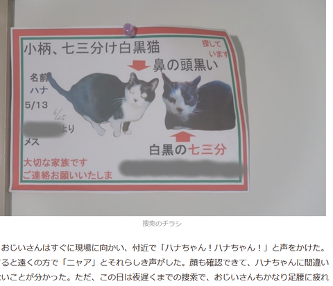【画像あり】４３日間行方不明だった１５歳の女の子、全裸の状態で発見される