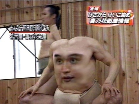 53_1