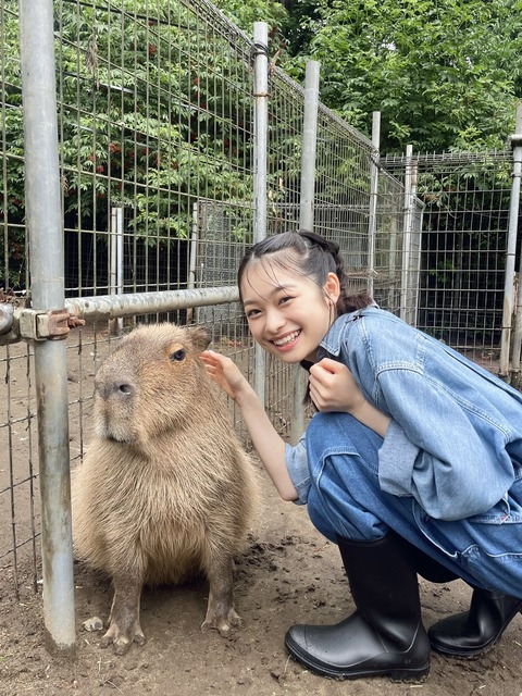 【画像】新人飼育員可愛いｗｗｗｗｗｗｗｗｗｗｗｗｗｗｗｗｗｗｗｗｗｗｗｗｗｗｗｗｗ