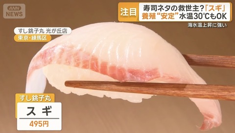 【画像】新しい寿司ネタ「スギ」ｗｗｗｗｗｗｗｗｗｗ