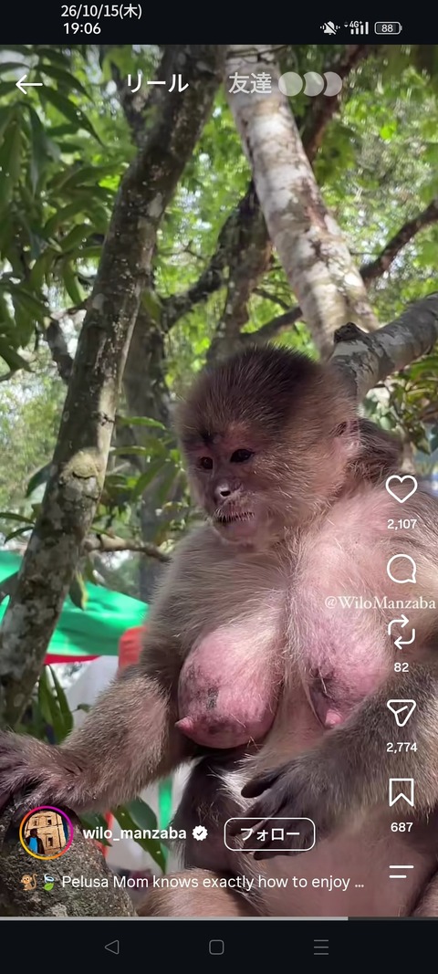 【画像】巨乳で美乳すぎるメス猿ｗｗｗｗｗｗｗｗｗｗｗｗｗｗｗｗｗｗｗｗｗｗｗｗ