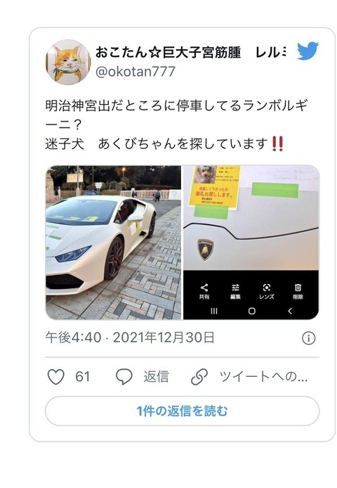 速報 代々木公園で飼い犬が失踪 見つけたら懸賞金500万円 人気の話題まとめましたm9 W
