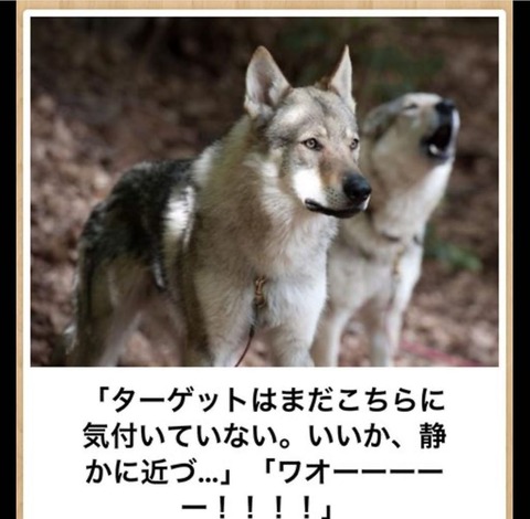 このboketeで笑ったら寝ろｗｗｗｗｗｗｗｗｗｗｗ